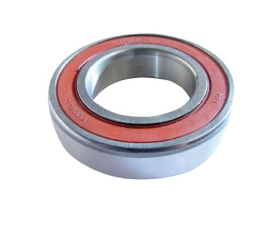 Bearing 30x55x13 6006 ZZ FAG