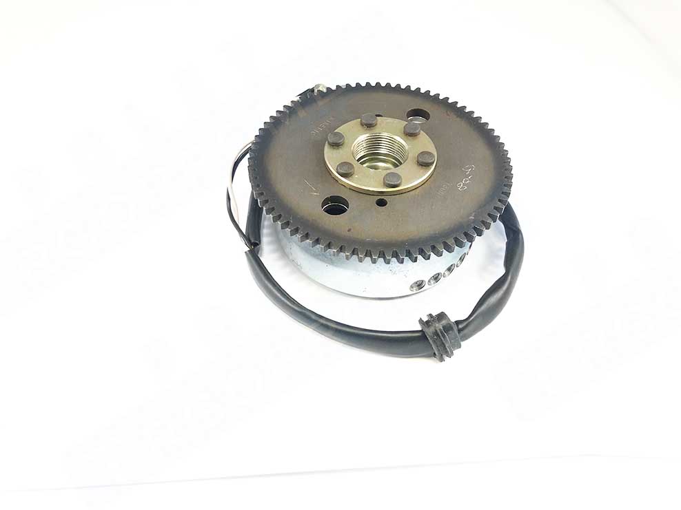 Ignition coil complete 12V 80W revival ,youngster, flexer (233720)