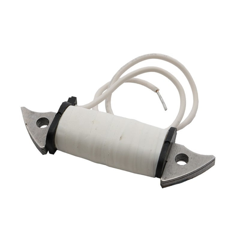 Ignition coil 12V electrical (229483)