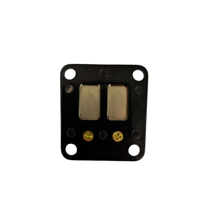 Lamella Valve Polini for TOMOS A35 A5
