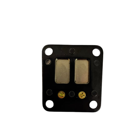 Lamella Valve Polini for TOMOS A35 A5